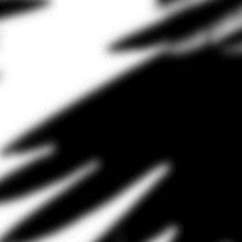 N/UM: Ravens - Vinyl