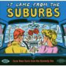 Various Artists: It Came From The Suburbsrare Teen Ro - CD