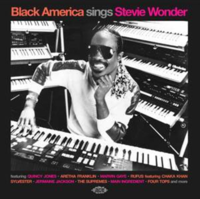 Various Artists: Black America Sings Stevie Wonder - CD
