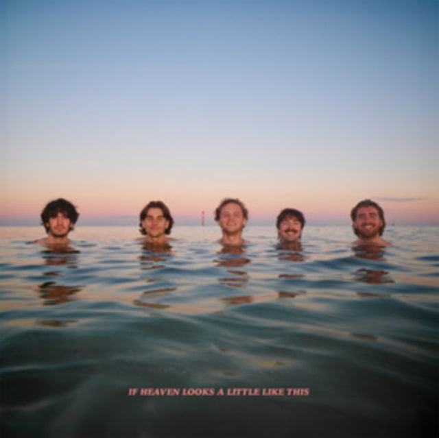 Delights: If Heaven Looks A Little Like This (Digi) - CD