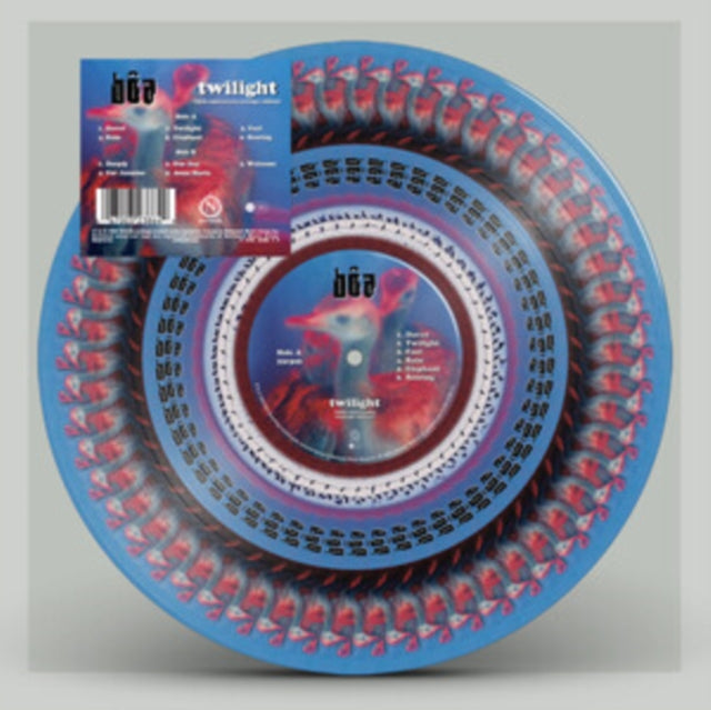 BOA: Twilight (Anniversary Edition) (Zoetrope Picture Disc) - Vinyl