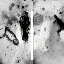 Certain Creatures: Vipassana - Vinyl