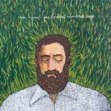 Iron and Wine: Our Endless Numbered Days - Vinyl