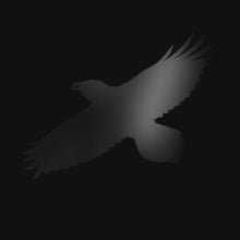 Sigur Ros: Odins Raven Magic (With Steindor Andersen. Hilmar Orn Hilmarsson And Maria Huld Markan Sigfusdottir) - Vinyl