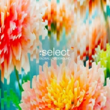 Various Artists: Global Underground: Select #5 - CD