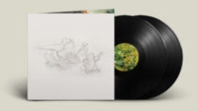 Big Thief: Dragon New Warm Mountain I Believe In You - Vinyl