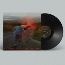 Soak: If I Never Know You Like This Again - Vinyl