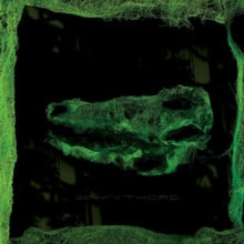 Avey Tare: Down There - Vinyl