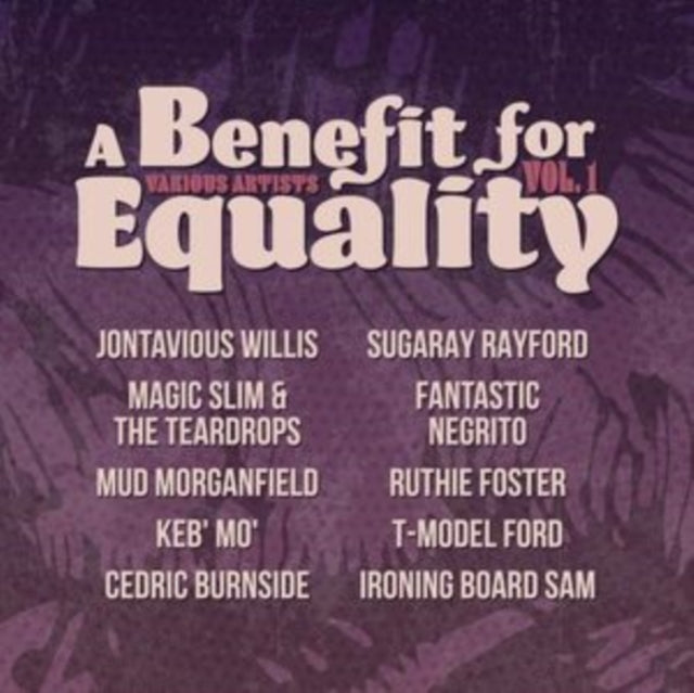 Various Artists: Benefit For Equality Vol. 1 - Vinyl
