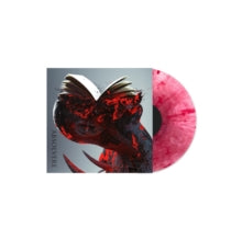 Signs of the Swarm: Absolvere - Vinyl