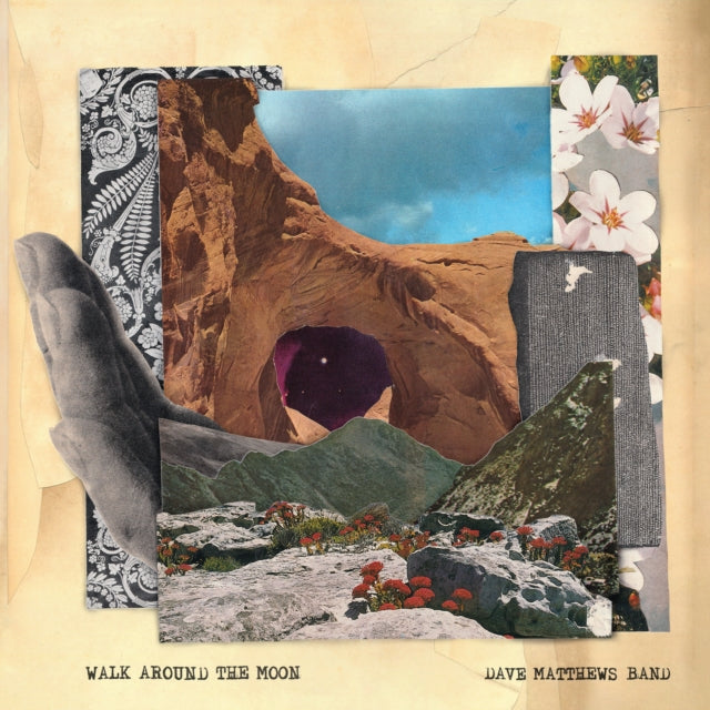 Dave Matthews Band: Walk Around The Moon - Vinyl