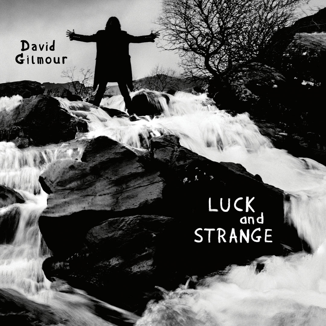 David Gilmour: Luck & Strange - Vinyl