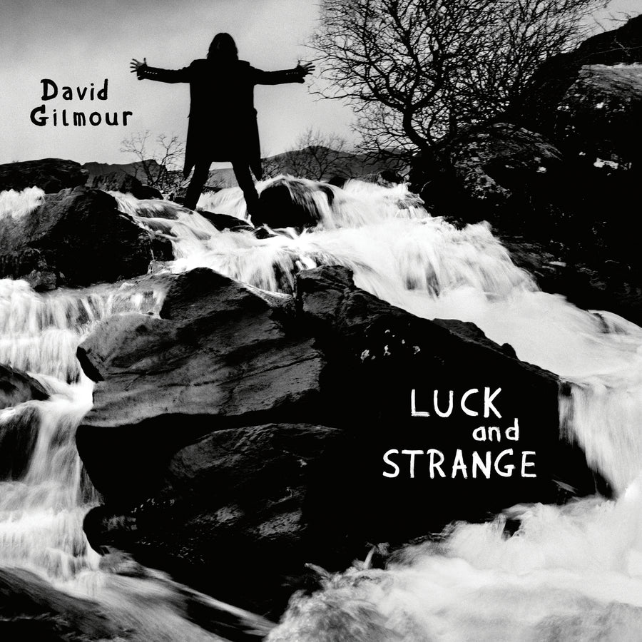 David Gilmour: Luck & Strange - Vinyl