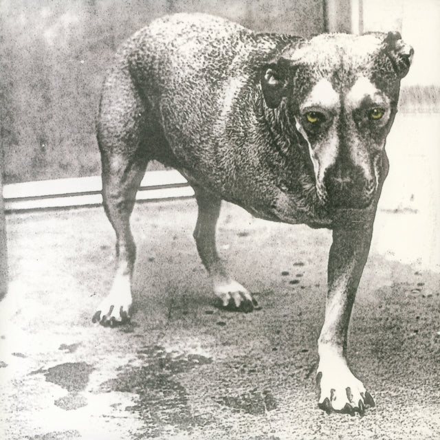 Alice in Chains: Alice In Chains (Yellow Vinyl) - Vinyl