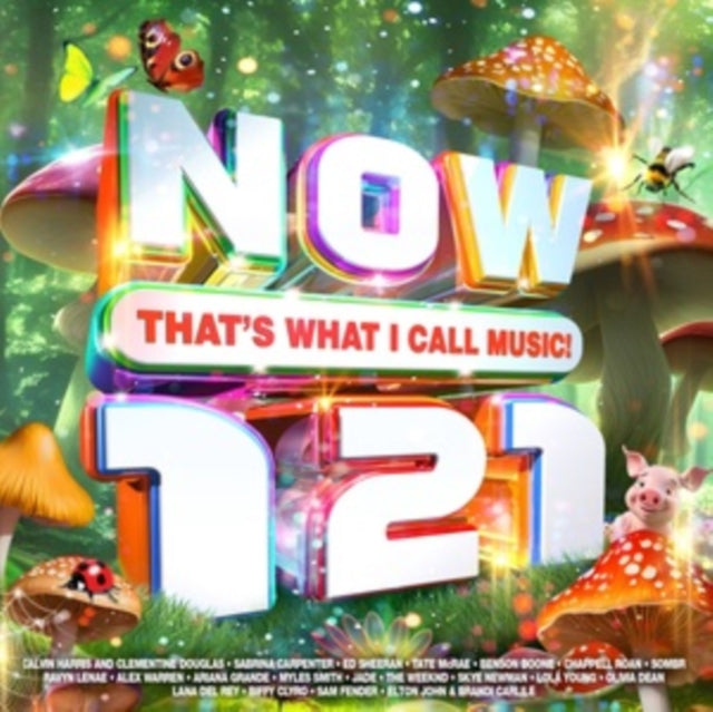 Various Artists: Now Thats What I Call Music! 121 - CD