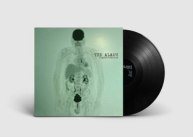The Alarm: Transformation - Vinyl