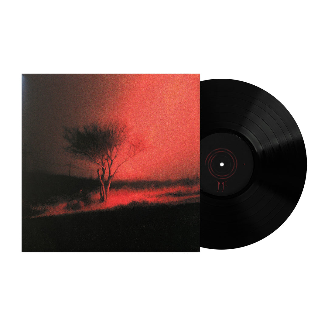 Joji: Piss In The Wind - Vinyl