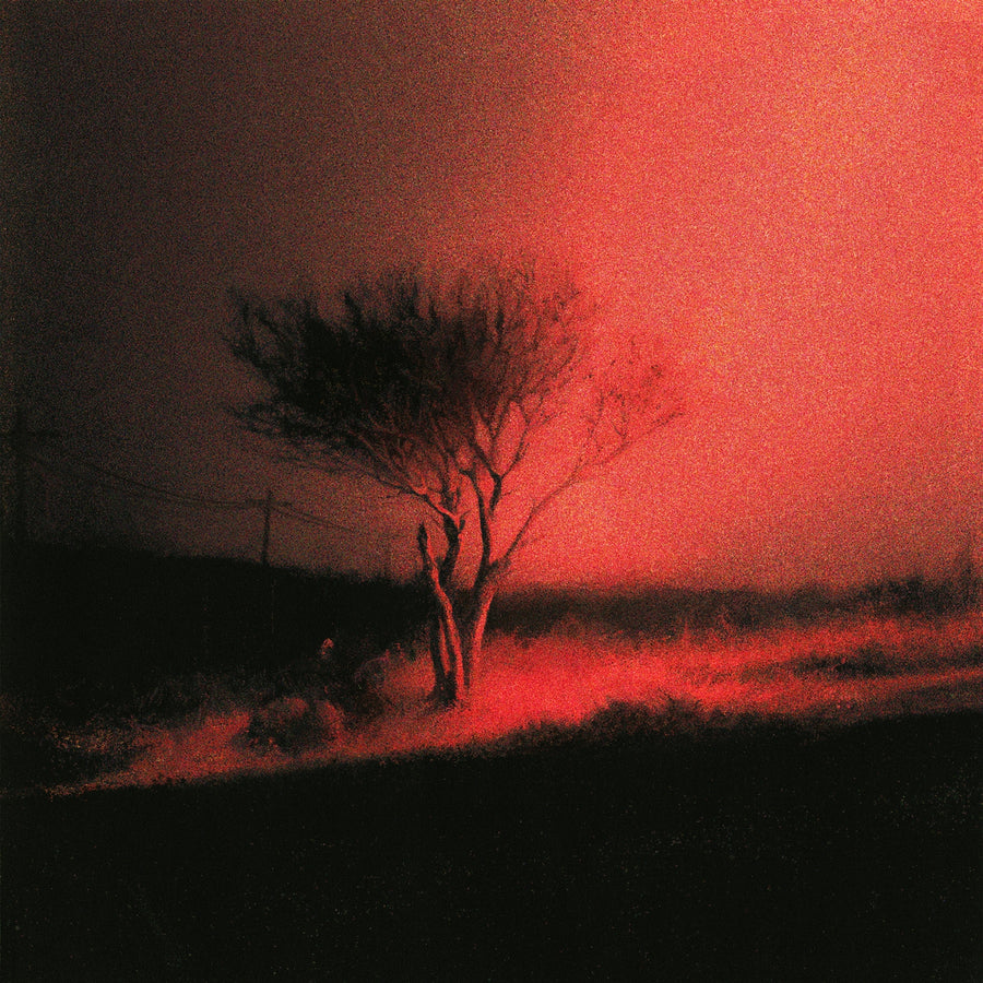 Joji: Piss In The Wind - CD