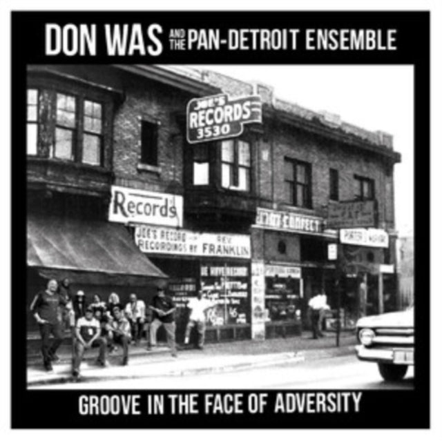 Don Was: Groove In The Face Of Adversity - Vinyl