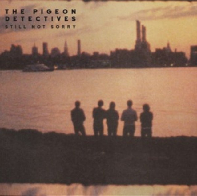 The Pigeon Detectives: Still Not Sorry - Vinyl