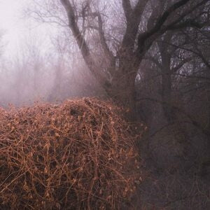 The Devil's Trade: Nincs Szennyezetlen Szep - CD