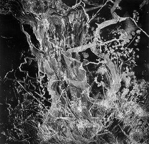 Bruit: Monolith - CD