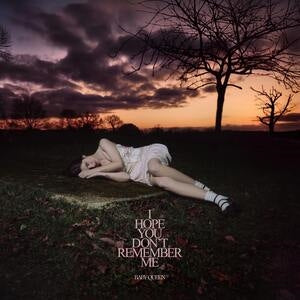 Baby Queen: I Hope You Dont Remember Me - Vinyl