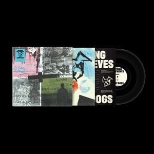 Nothing But Thieves: Stray Dogs - Vinyl