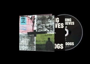 Nothing But Thieves: Stray Dogs - CD