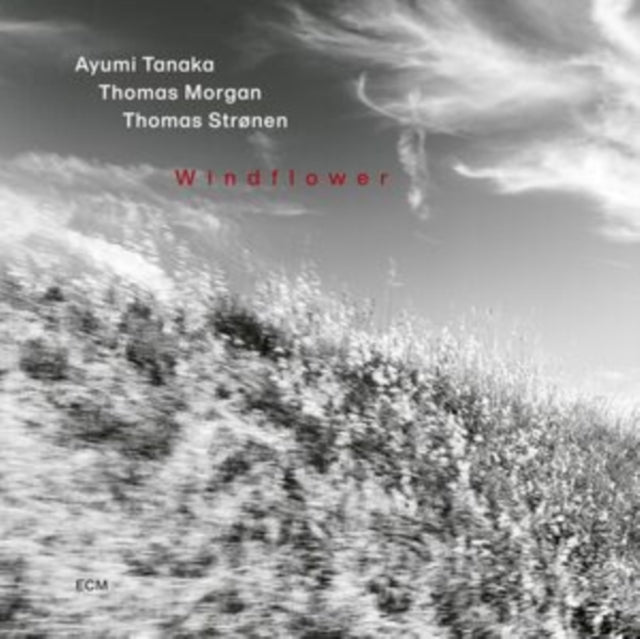 Ayumi Tanaka/Thomas Morgan/Thomas Stronen: Ayumi Tanaka: Windflower - CD