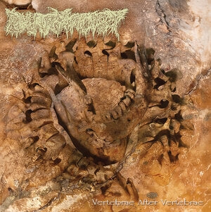 Pharmacist: Vertebrae After Vertebrae - CD