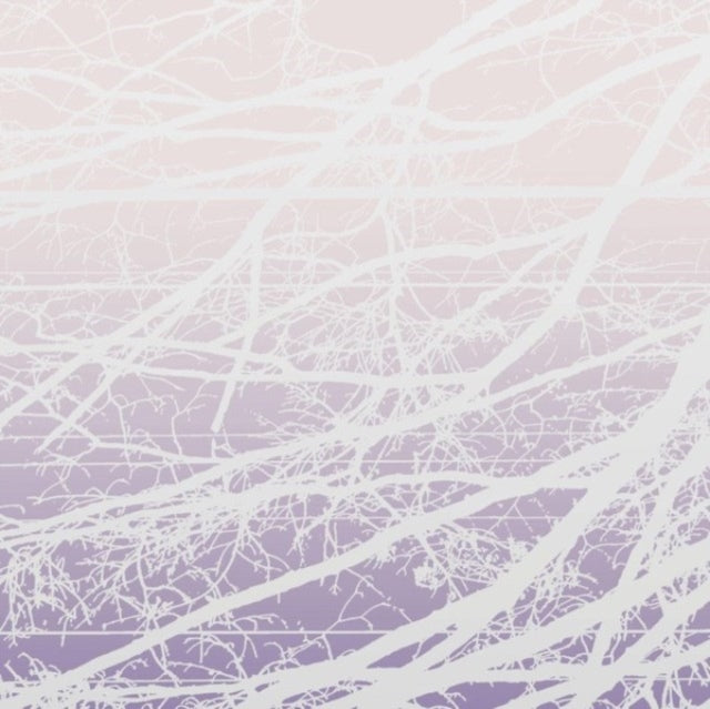 Lea Bertucci: Metal Aether / Resonant Field - Vinyl