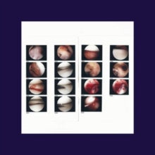 The Cradle: Laughing In My Sleep - CD