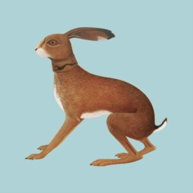 Vashti Bunyan: Lookaftering - Expanded Edition - Vinyl