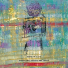 Roy Montgomery: Rhymes Of Chance - Vinyl