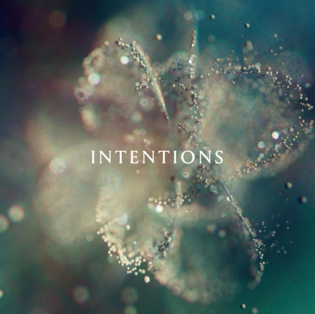ANNA: Intentions - Vinyl