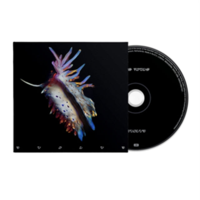 Portrayal of Guilt: Evolve - CD