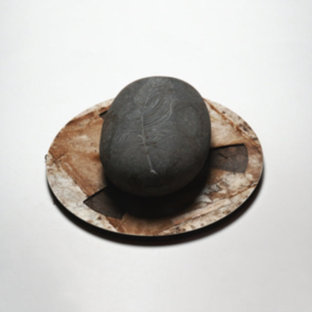 Erland Cooper: Carve The Runes Then Be Content With Silence (140G Recycled Vinyl) - Vinyl
