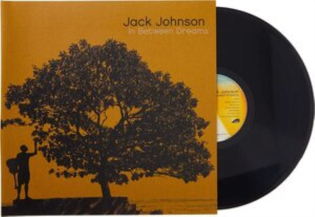 Jack Johnson: In Between Dreams - Vinyl