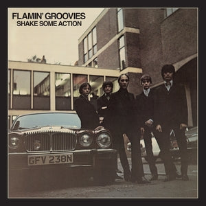 Flamin' Groovies: Shake Some Action - CD