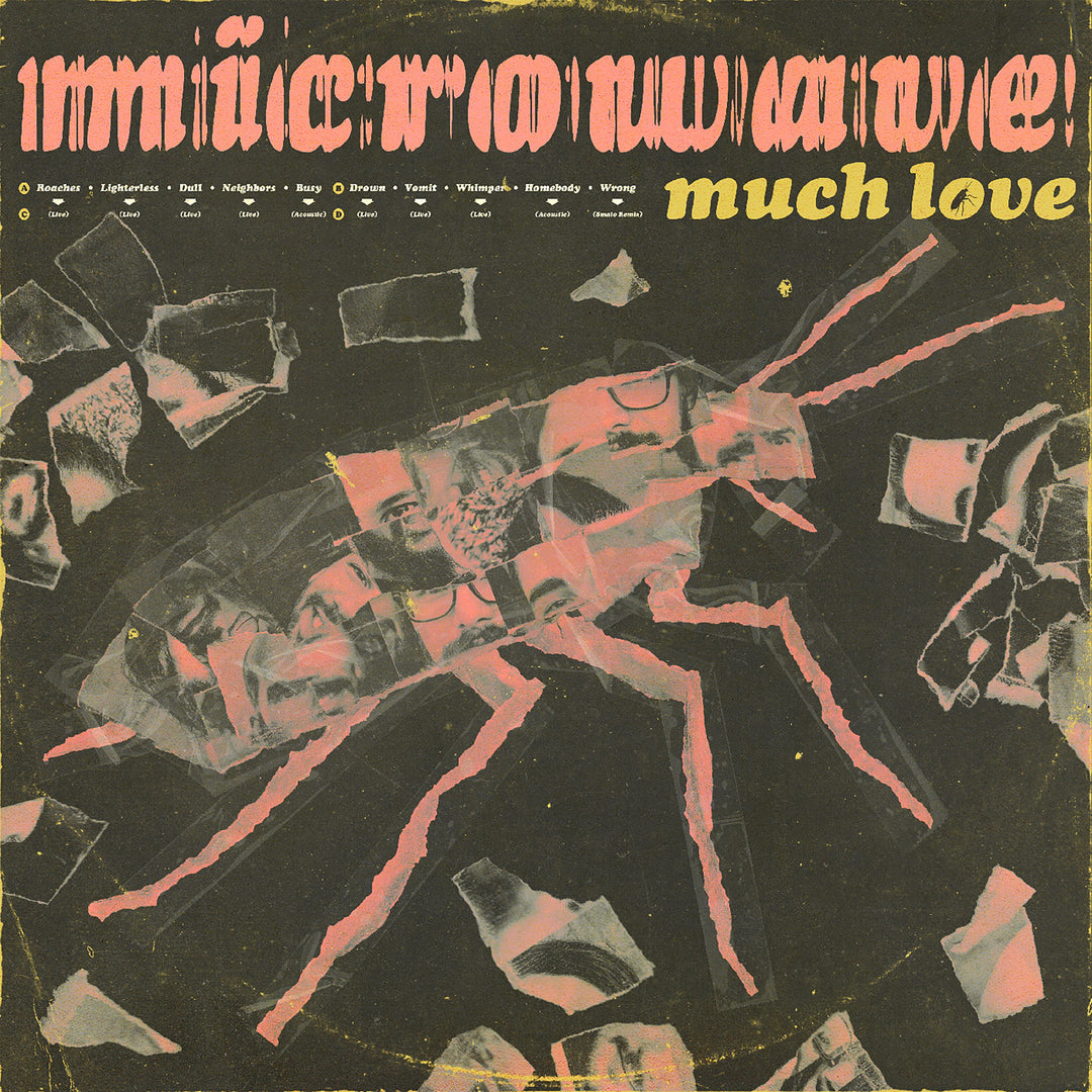 Microwave: Much Love (10 Year Anniversary Edition) (Clear Pink Swirl Vinyl) - Vinyl