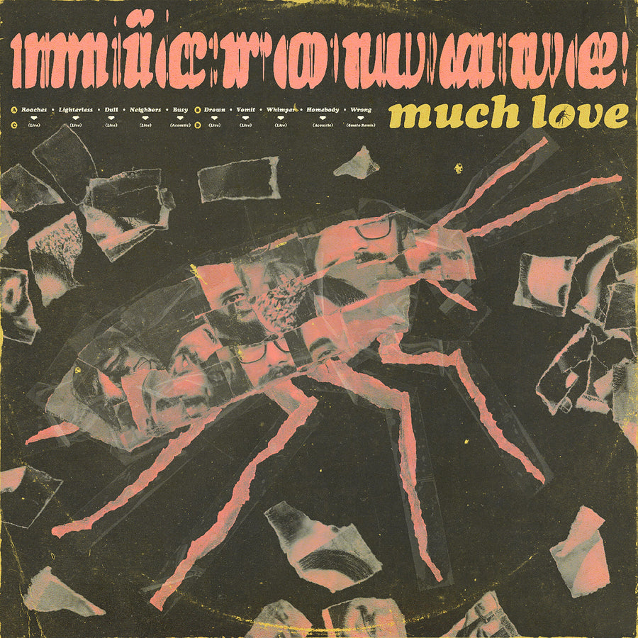 Microwave: Much Love (10 Year Anniversary Edition) (Clear Pink Swirl Vinyl) - Vinyl