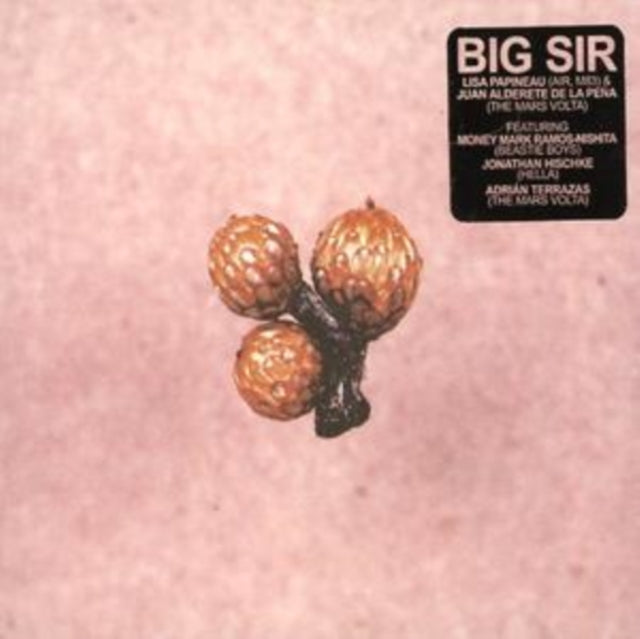 Big Sir: Und Die Scheibe Andert Sich Immer - CD