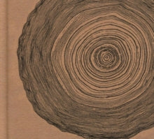 Eskimeaux: Year Of The Rabbit - CD