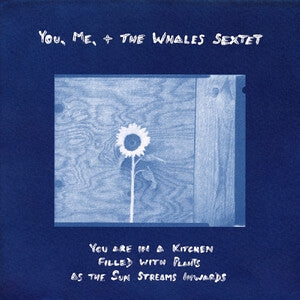 You, Me, + the Whales Sextet: You Are In A Kitchen Filled With Plants As The Sun Streams Inwards - Vinyl