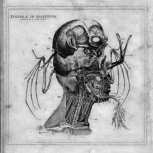 Tenebrae in Perpetuum: Anorexia Obscura - CD
