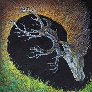 Petrels: Infangthief - CD
