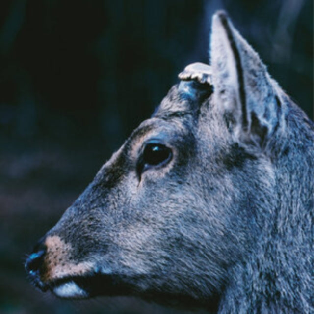 toe: The Book About My Idle Plot On A Vague Anxiety (Deer Glisten Blue Vinyl) - Vinyl