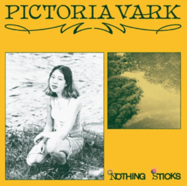 Pictoria Vark: Nothing Sticks - Vinyl