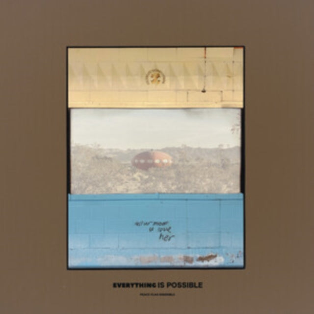 Peace Flag Ensemble: Everything Is Possible - Vinyl